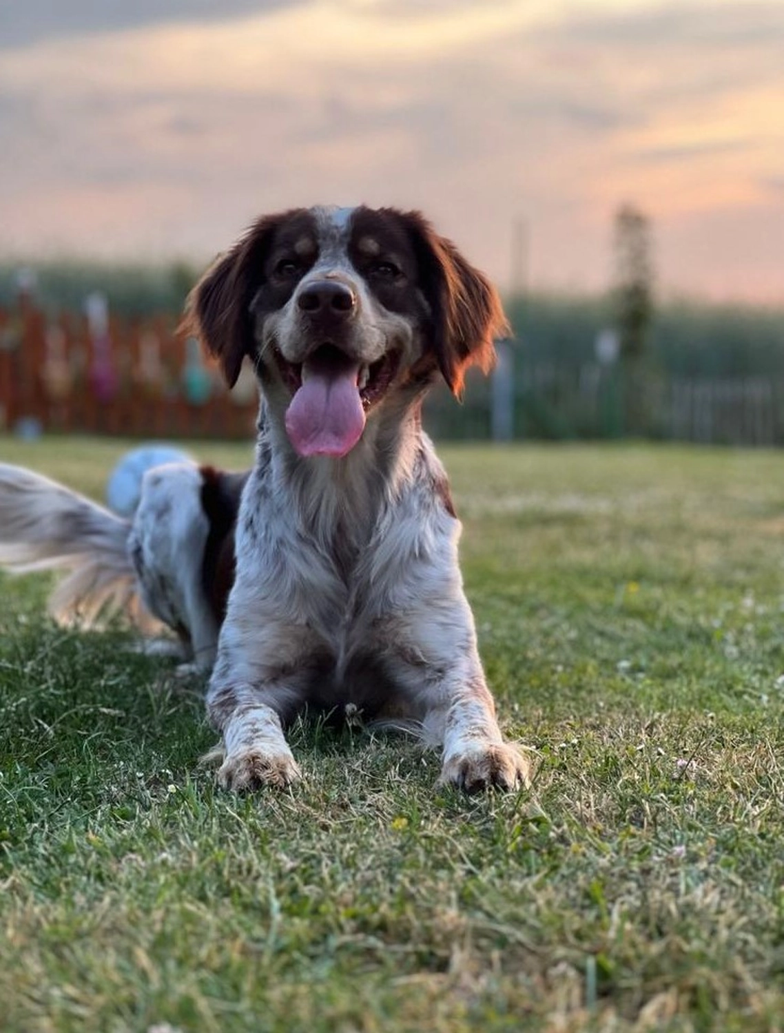 AKTIV Rohrreinigung - Büro Hund Arthos