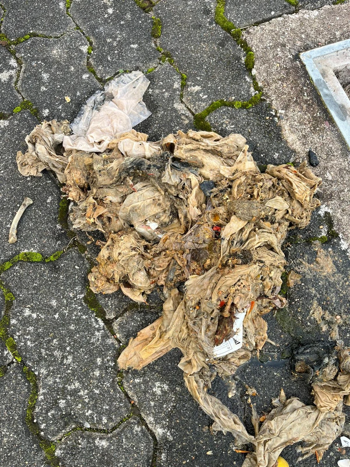 AKTIV Rohrreinigung - Benutzung von Feuchttüchern