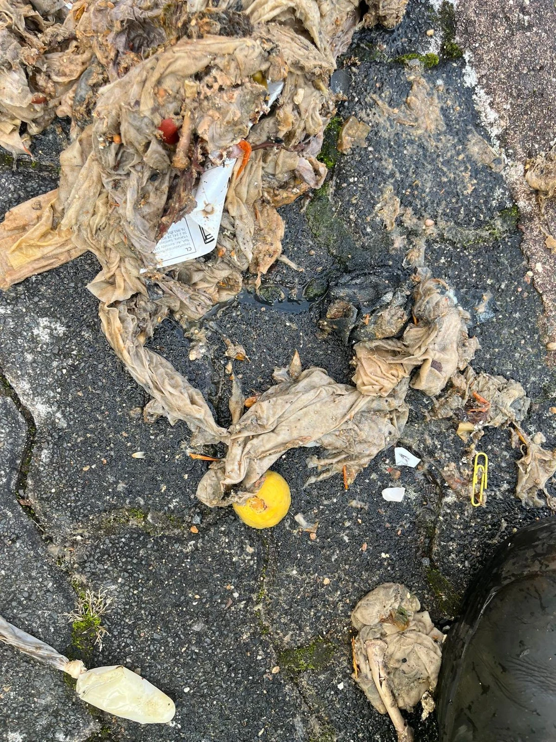 AKTIV Rohrreinigung - Benutzung von Feuchttüchern