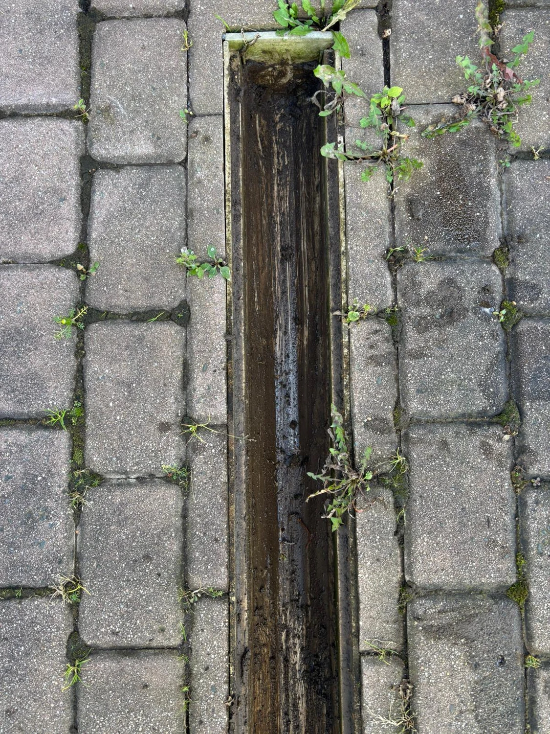 AKTIV Rohrreinigung - Reinigung ACO Rinne