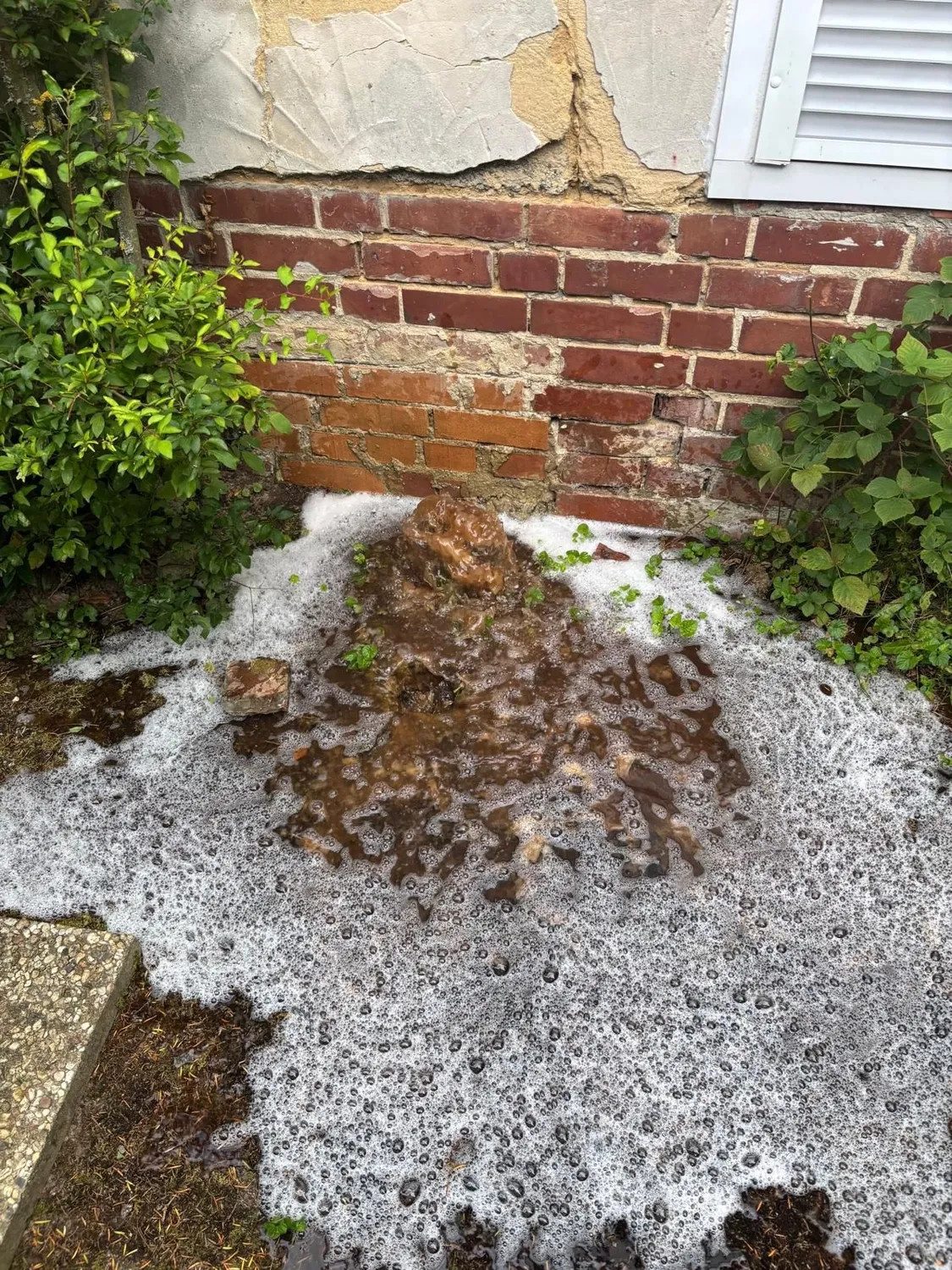 AKTIV Rohrreinigung - Rohr und Kanalreinigung