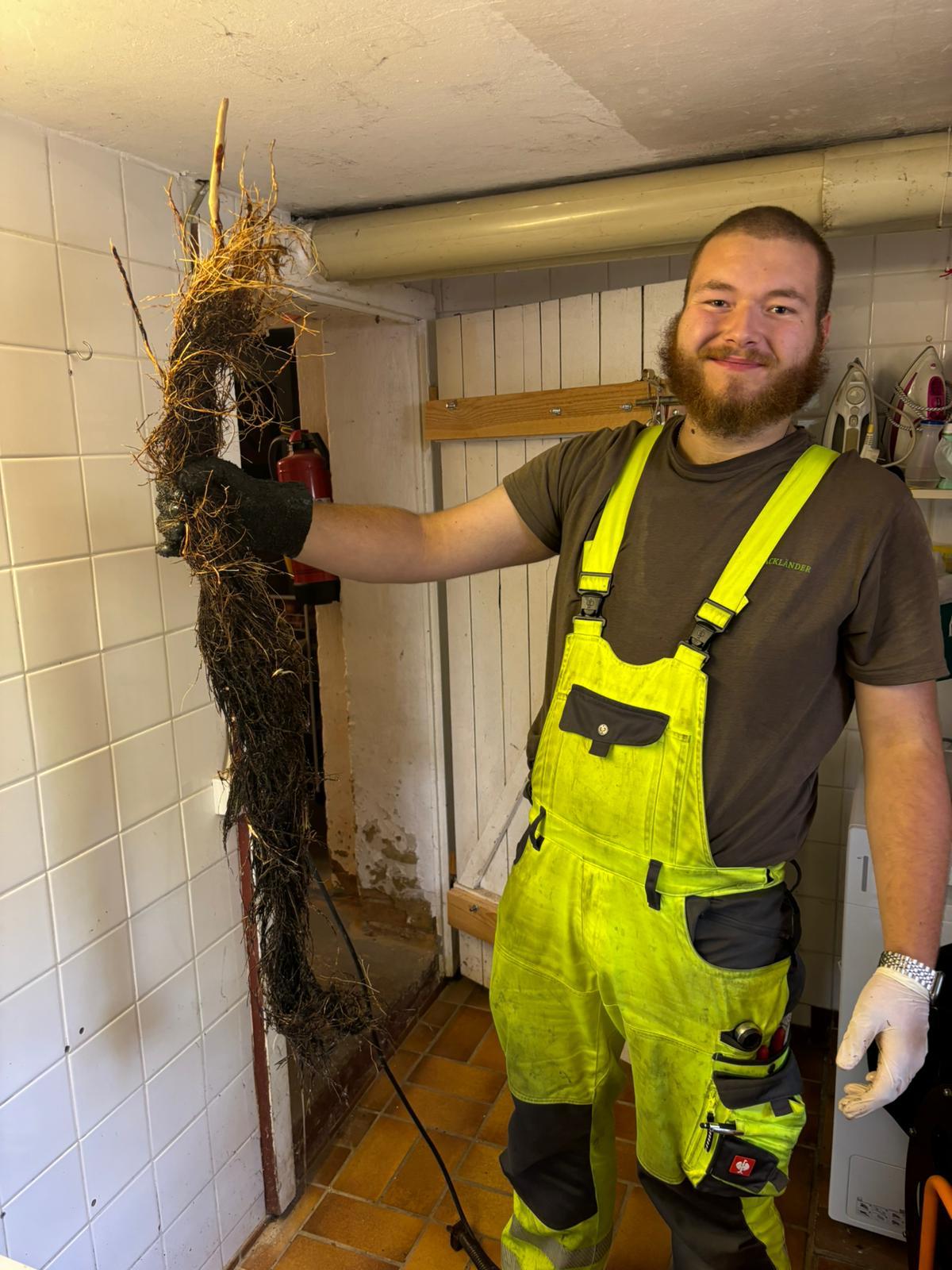 AKTIV Rohrreinigung - Wurzelentfernung