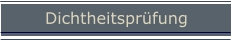 Dienstleistung Dichtheitsprüfung